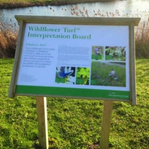 Interpretation Board